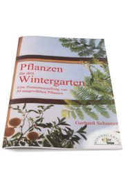 Pflanzen Wintergarten
